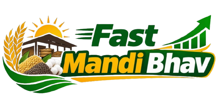 fastmandibhav.com